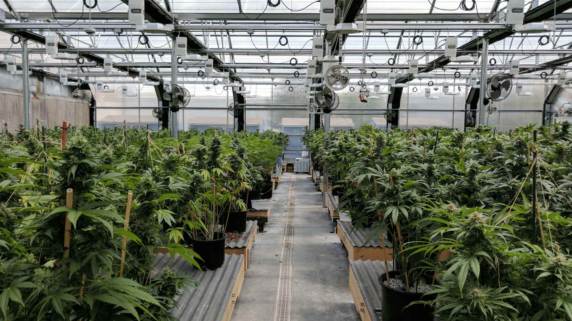 grow facility